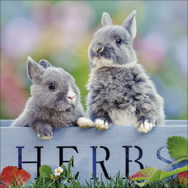 Weitere Ansicht: Kaninchen 2027