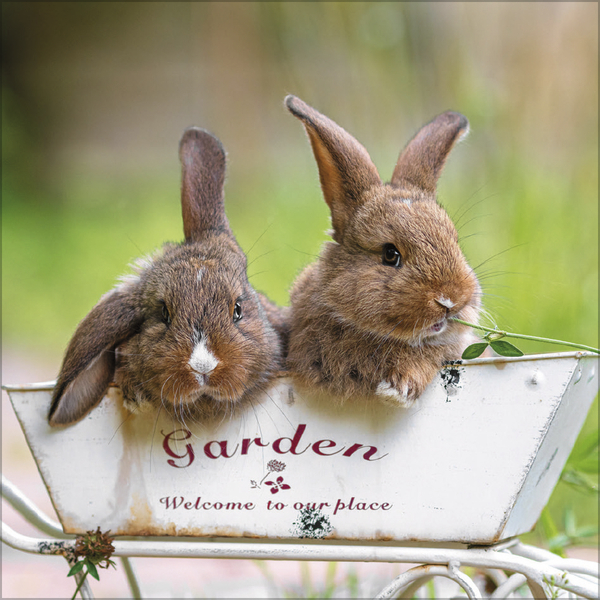 Weitere Ansicht: Kaninchen 2027