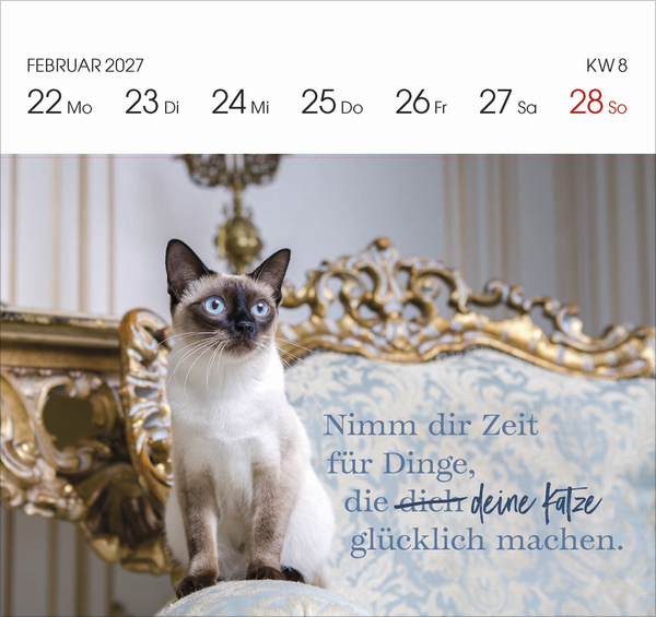 Weitere Ansicht: Katzen 2027