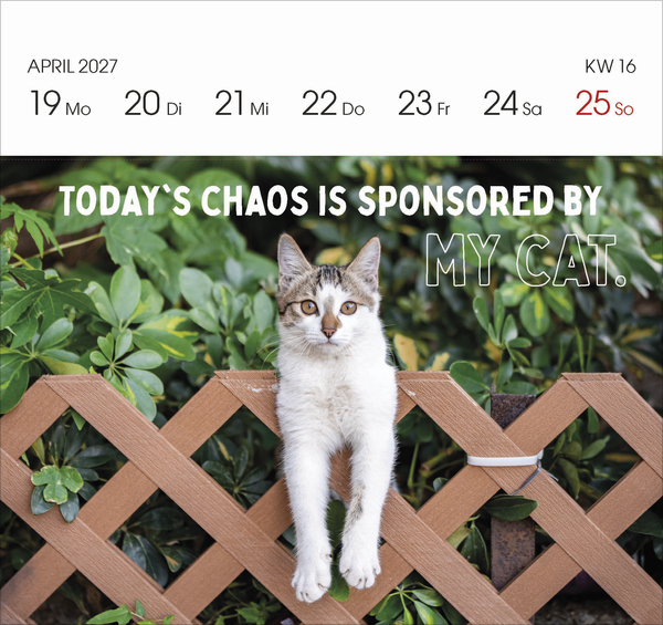 Weitere Ansicht: Katzen 2027