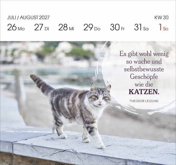 Weitere Ansicht: Katzen 2027
