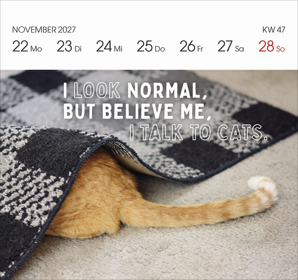 Weitere Ansicht: Katzen 2027