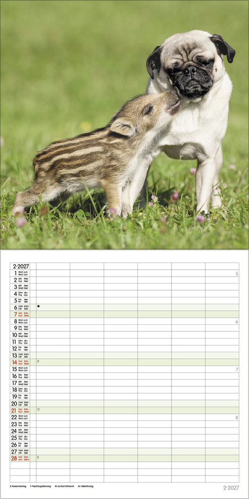 Weitere Ansicht: Tierfreundschaften - Familientimer 2027