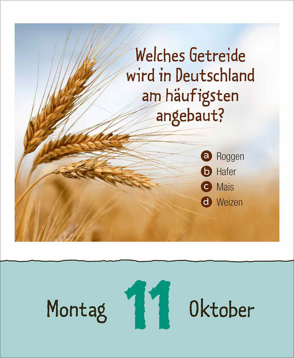 Weitere Ansicht: Vorsicht Geheimwissen 2027