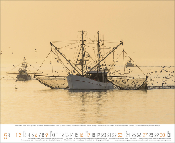 Weitere Ansicht: Küstenträume 2027