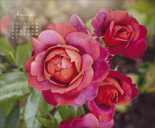 Weitere Ansicht: Floral Art 2027