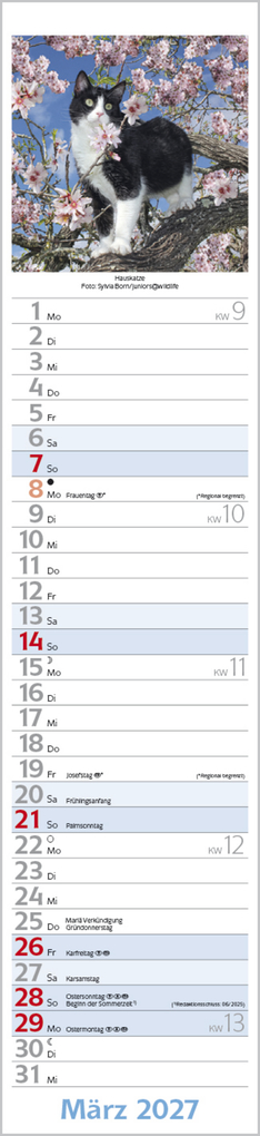 Weitere Ansicht: Katzen Langplaner 2027