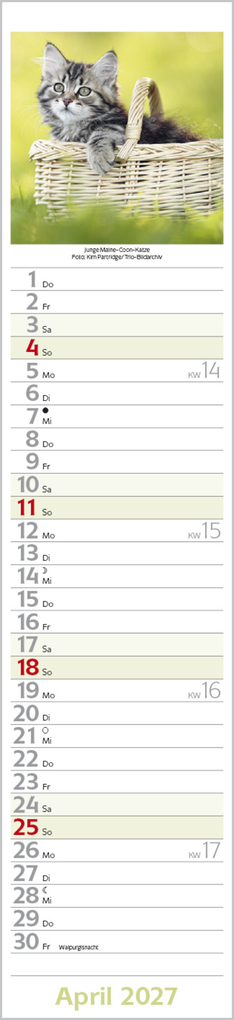 Weitere Ansicht: Katzen Langplaner 2027