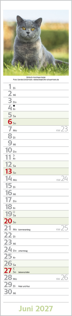 Weitere Ansicht: Katzen Langplaner 2027
