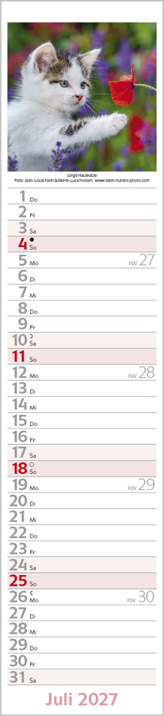 Weitere Ansicht: Katzen Langplaner 2027
