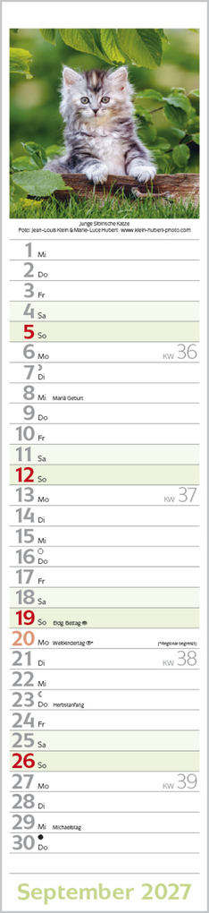 Weitere Ansicht: Katzen Langplaner 2027