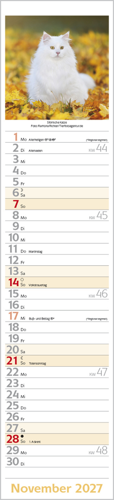 Weitere Ansicht: Katzen Langplaner 2027