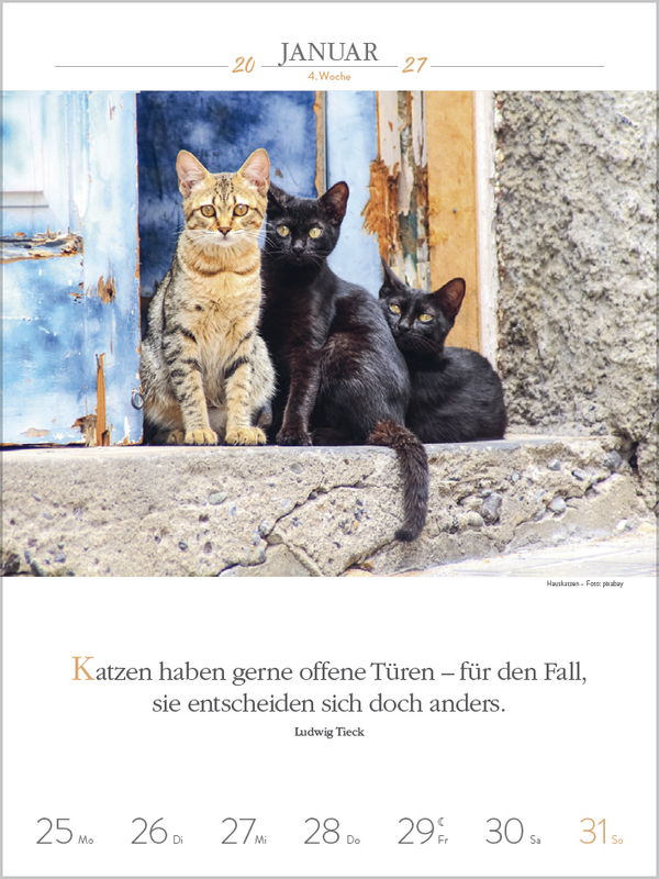 Weitere Ansicht: Literaturkalender Katzen 2027