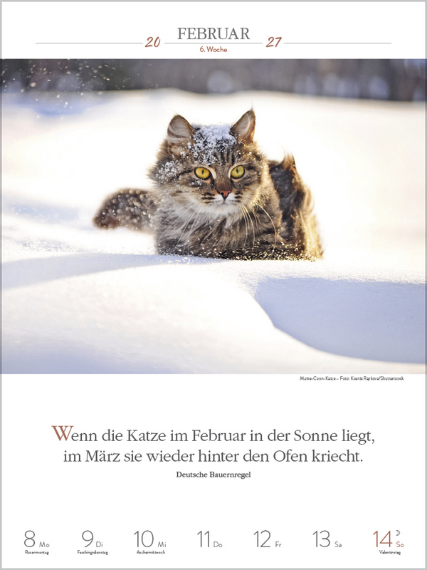 Weitere Ansicht: Literaturkalender Katzen 2027