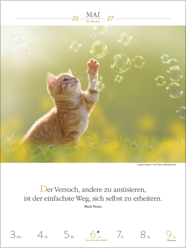 Weitere Ansicht: Literaturkalender Katzen 2027