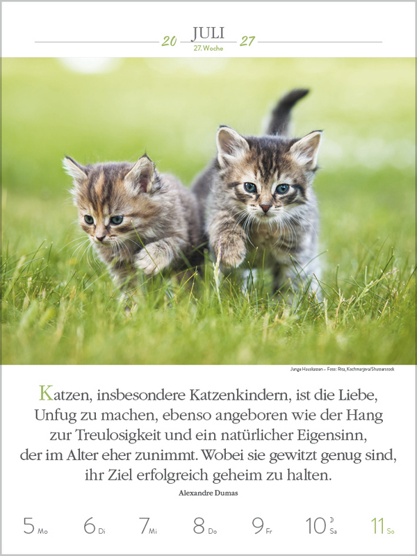 Weitere Ansicht: Literaturkalender Katzen 2027