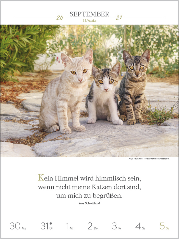 Weitere Ansicht: Literaturkalender Katzen 2027