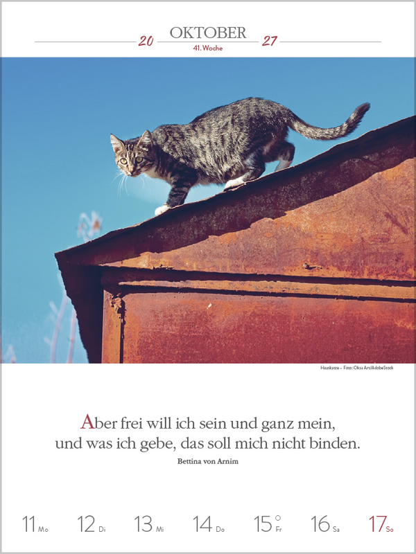 Weitere Ansicht: Literaturkalender Katzen 2027