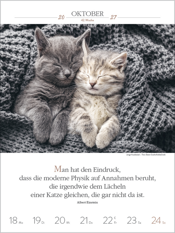Weitere Ansicht: Literaturkalender Katzen 2027