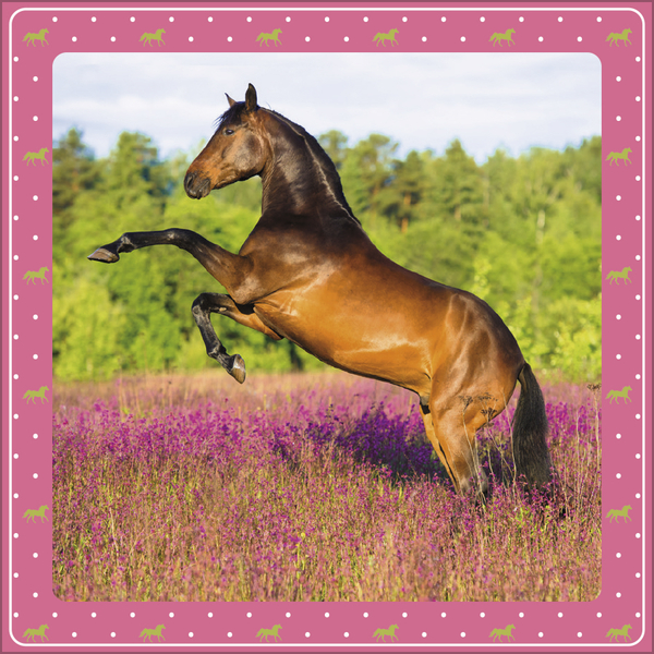 Weitere Ansicht: Pferdekalender 2027