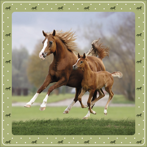 Weitere Ansicht: Pferdekalender 2027