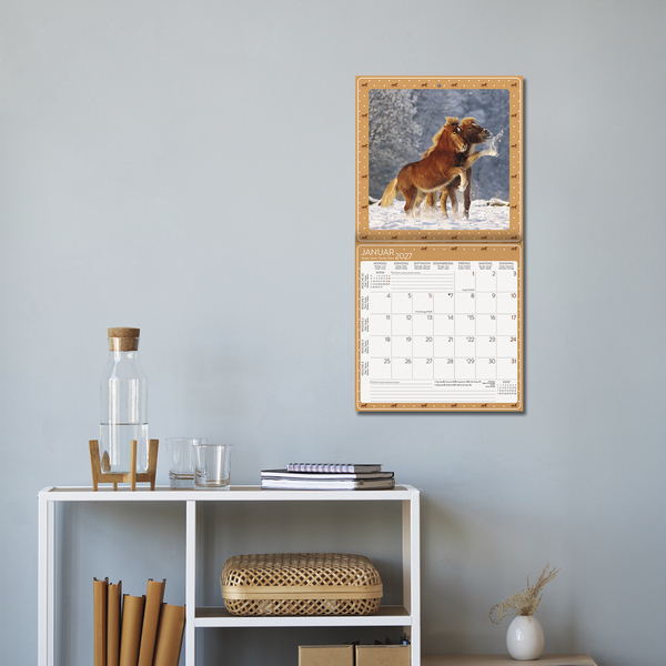 Weitere Ansicht: Pferdekalender 2027