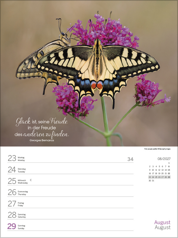 Weitere Ansicht: Glücksmomente 2027