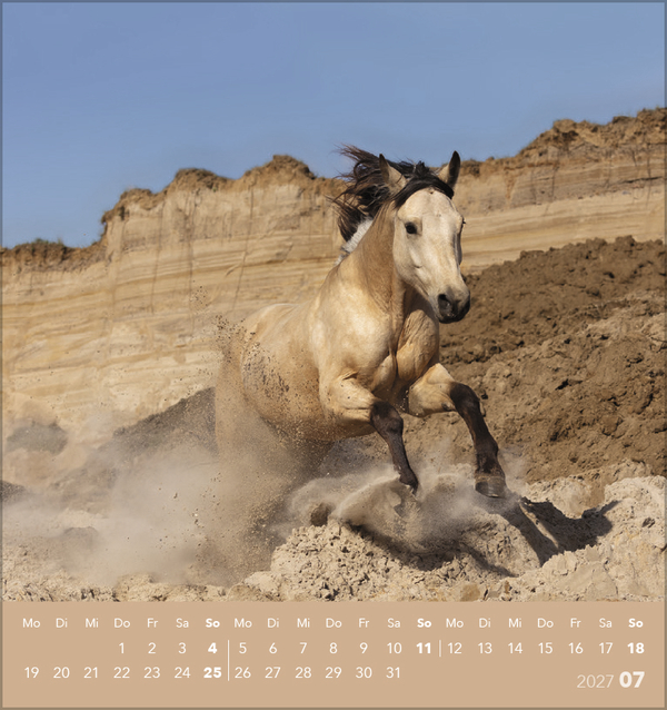 Weitere Ansicht: Traumpferde 2027