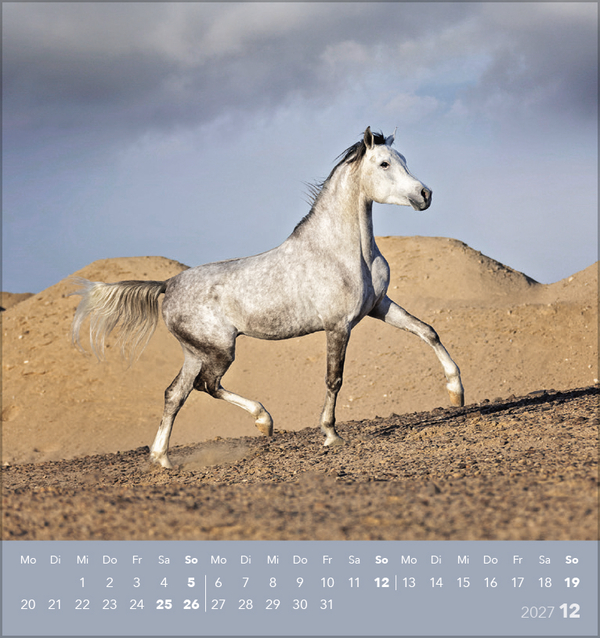 Weitere Ansicht: Traumpferde 2027