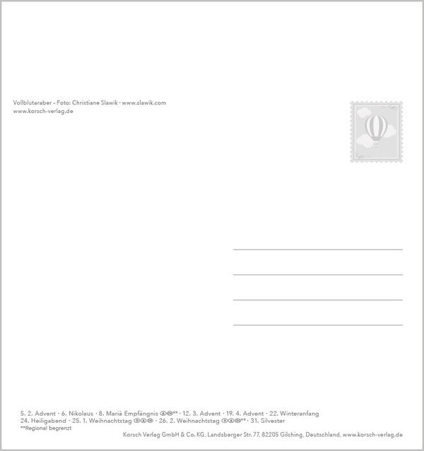 Weitere Ansicht: Traumpferde 2027