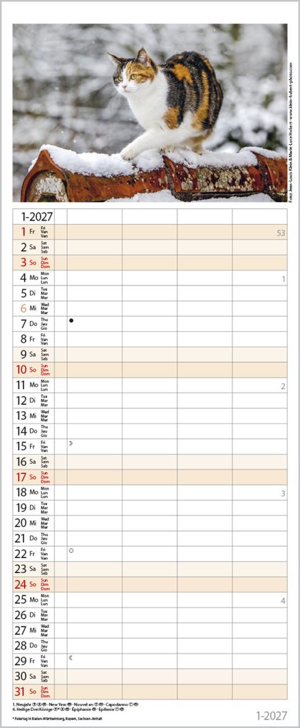 Weitere Ansicht: Auf Samtpfoten durch's Jahr 2027