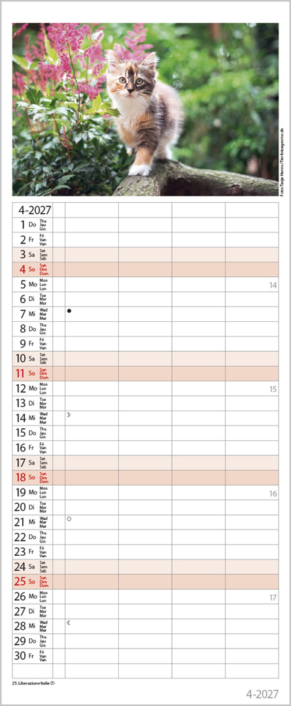 Weitere Ansicht: Auf Samtpfoten durch's Jahr 2027