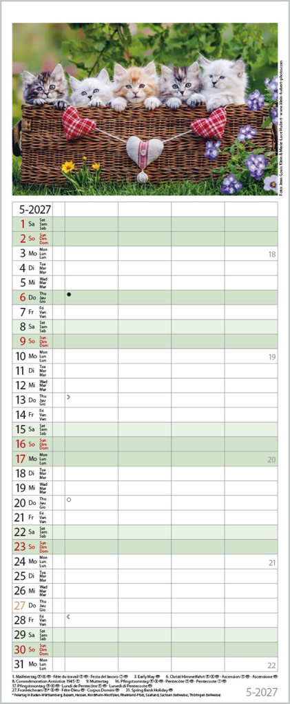 Weitere Ansicht: Auf Samtpfoten durch's Jahr 2027