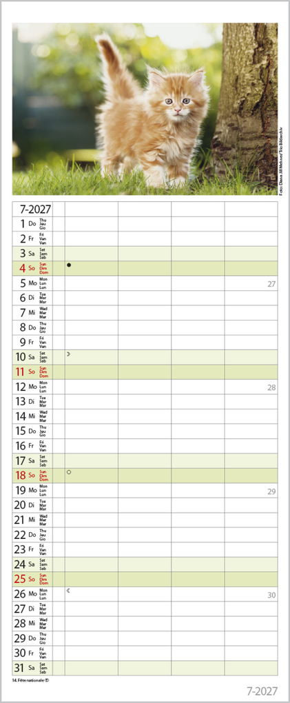 Weitere Ansicht: Auf Samtpfoten durch's Jahr 2027