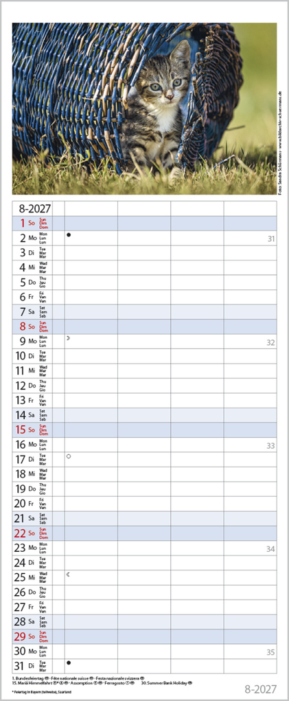 Weitere Ansicht: Auf Samtpfoten durch's Jahr 2027