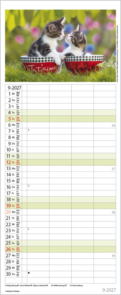 Weitere Ansicht: Auf Samtpfoten durch's Jahr 2027