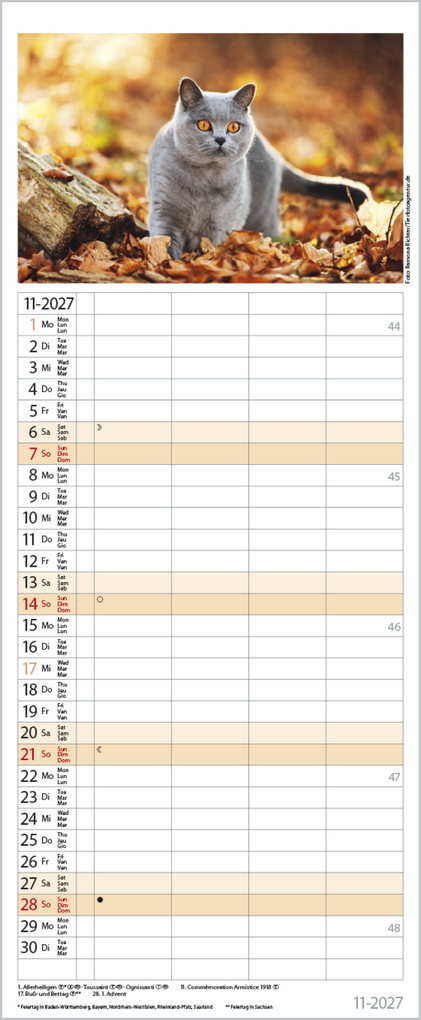 Weitere Ansicht: Auf Samtpfoten durch's Jahr 2027