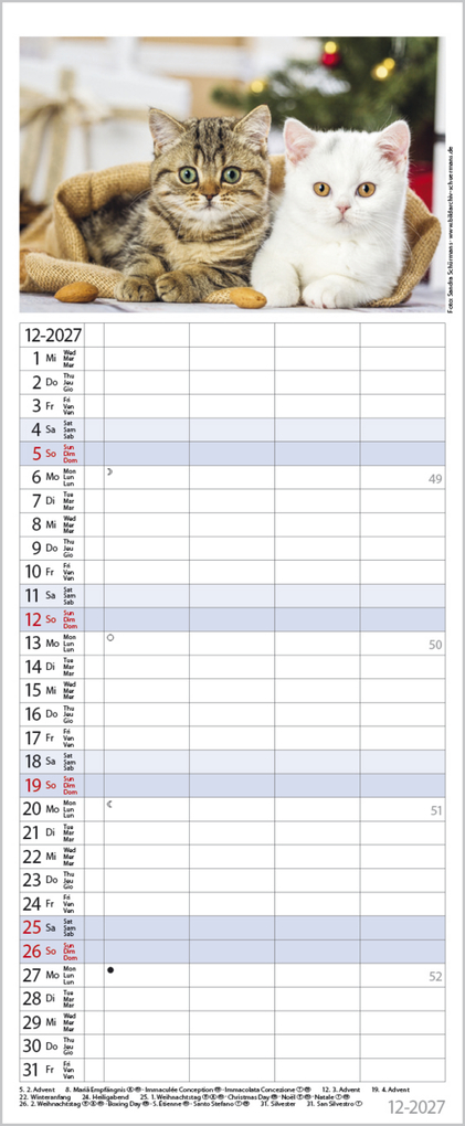 Weitere Ansicht: Auf Samtpfoten durch's Jahr 2027