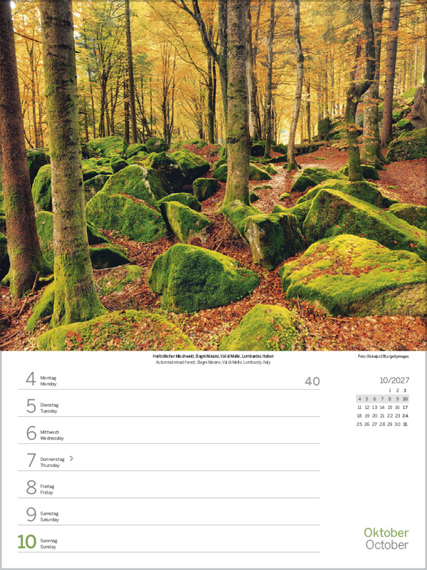 Weitere Ansicht: Augenblicke der Stille 2027