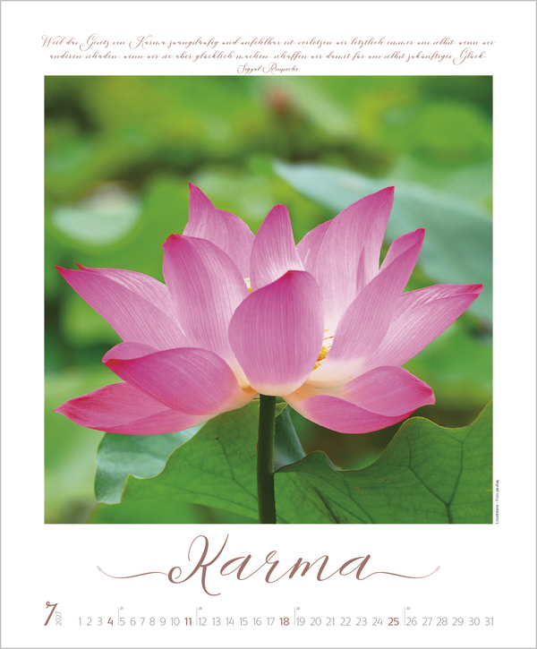 Weitere Ansicht: Buddhistische Weisheiten 2027