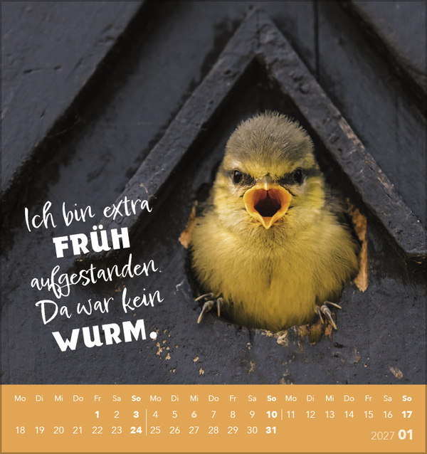 Weitere Ansicht: Tierisch lustig 2027