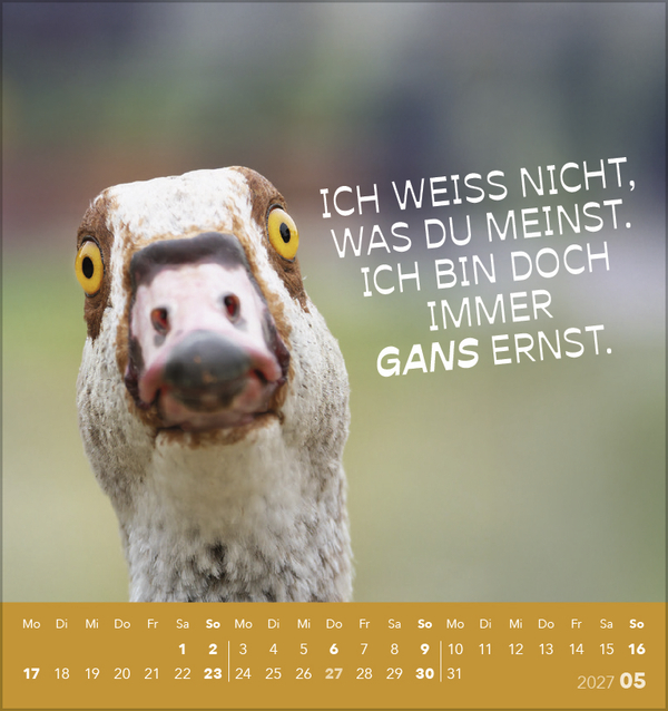 Weitere Ansicht: Tierisch lustig 2027