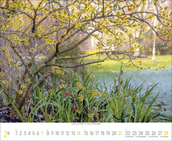 Weitere Ansicht: Traumhafte Gärten 2027