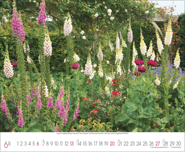Weitere Ansicht: Traumhafte Gärten 2027