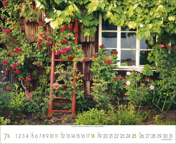 Weitere Ansicht: Traumhafte Gärten 2027