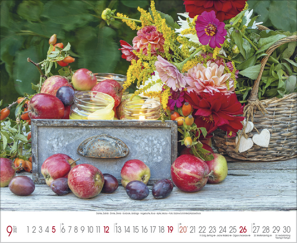 Weitere Ansicht: Traumhafte Gärten 2027