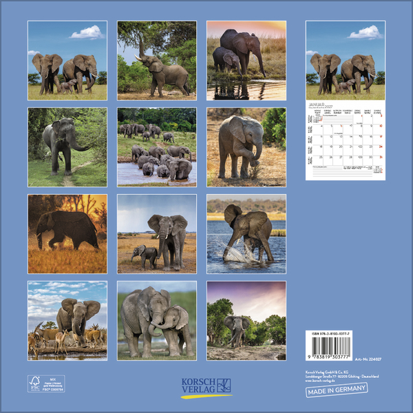 Weitere Ansicht: Elefanten 2027