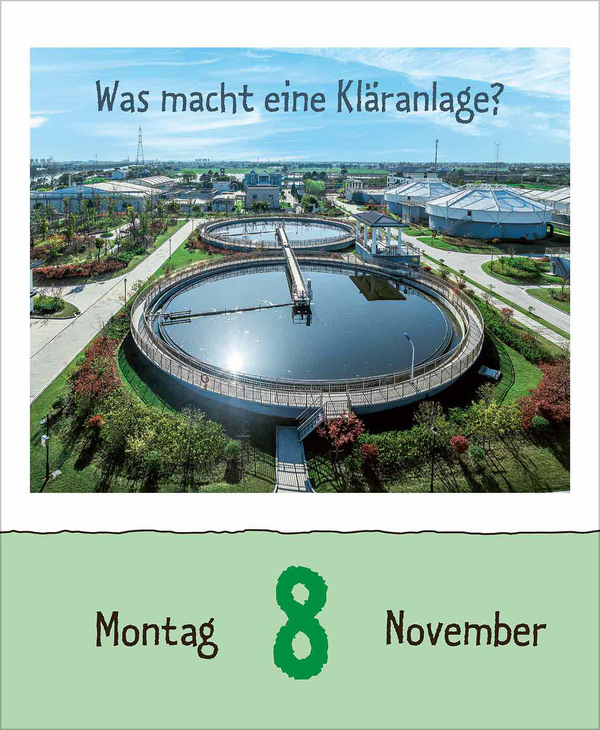 Weitere Ansicht: Warum wackelt Wackelpudding? 2027