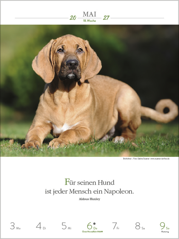 Weitere Ansicht: Literaturkalender Hunde 2027