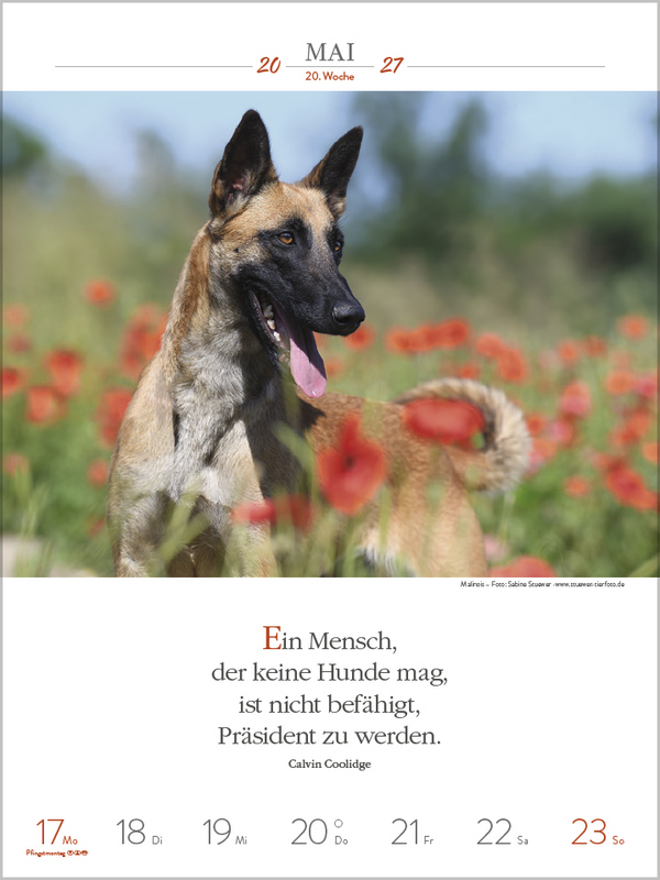 Weitere Ansicht: Literaturkalender Hunde 2027